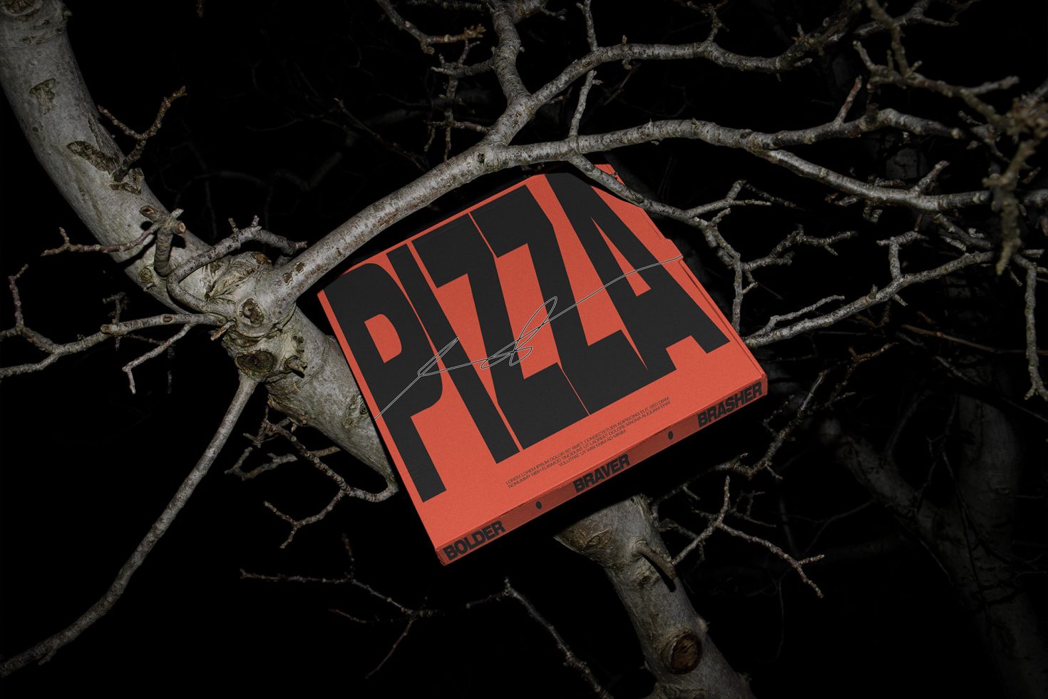 Creative pizza box mockup on a bare tree branch in a dark setting, showcasing bold typography and packaging design.